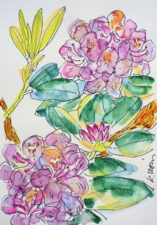 Picture "Rhododendron" (2024)