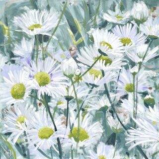 Bild "Erigeron strigosus 1" (2022)