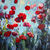 Picture "Poppies Land 12" (2024)