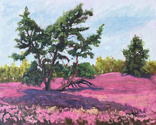 Bild "Heideblüte Lüneburger Heide" (2019)