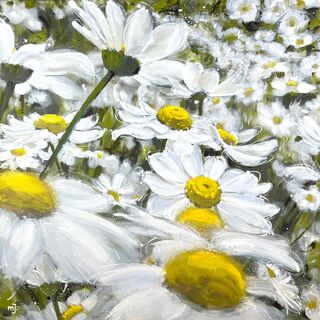 Bild "Tanacetum parthenium 1" (2024)