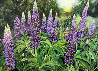 Bild "Lupinen am Waldrand | Lupines  (Werk-Nr. 230601)" (2023)